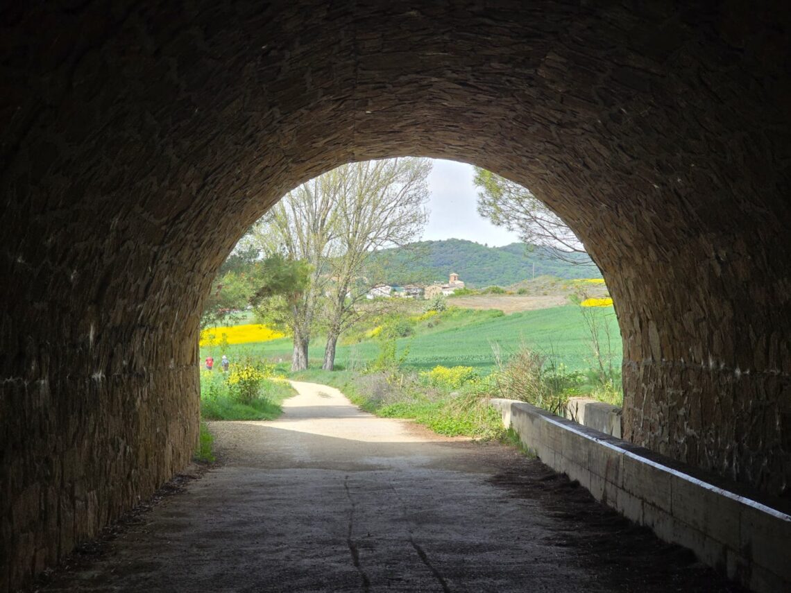 Solo – 47 Days on the Camino Francés By Canie Cullen